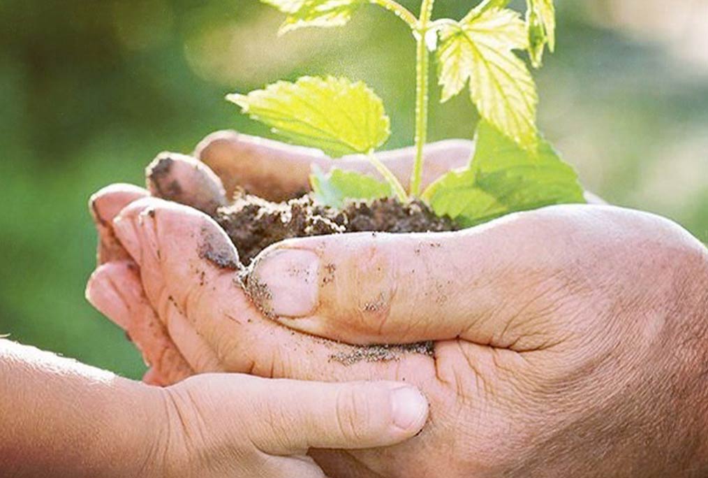 Le Petit Ours Gourmand : notre histoire